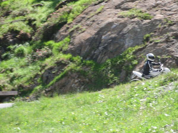 img_(20).jpg