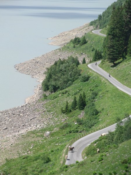 img_(43).jpg