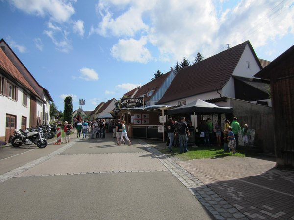 img_(17).jpg