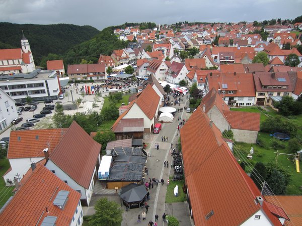 img_(49).jpg