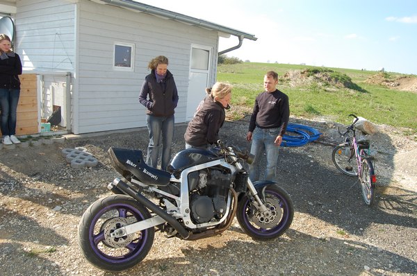 img_(32).jpg