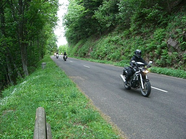 img_(35).jpg