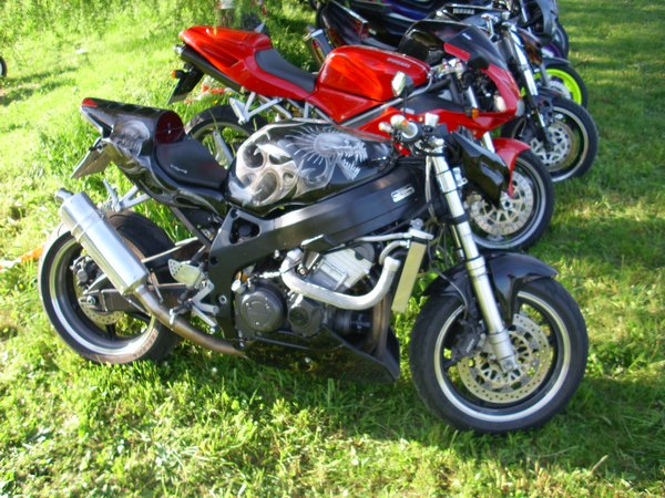 img_(16).jpg