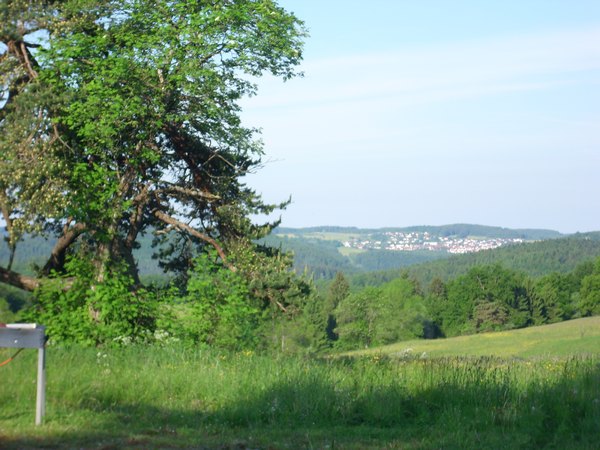 img_(20).jpg