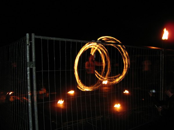 img_(74).jpg