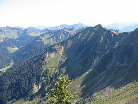 img_(10).jpg