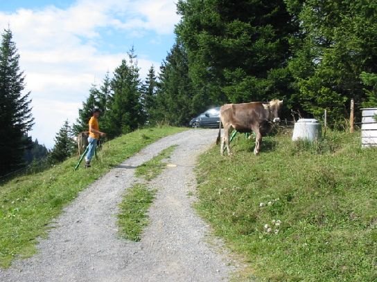 img_(45).jpg
