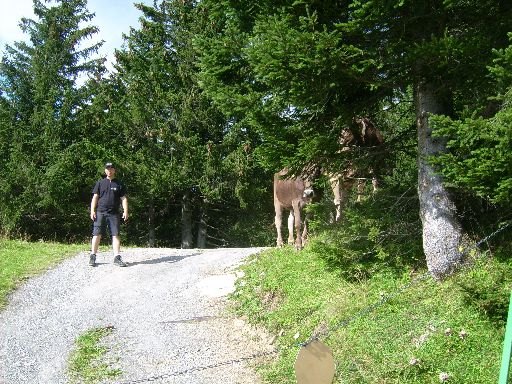 img_(68).jpg