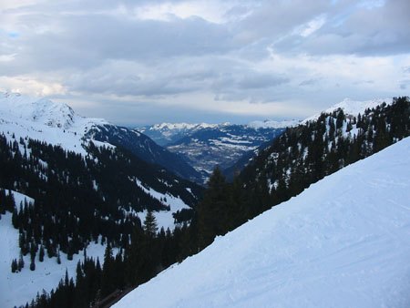 img_(10).jpg